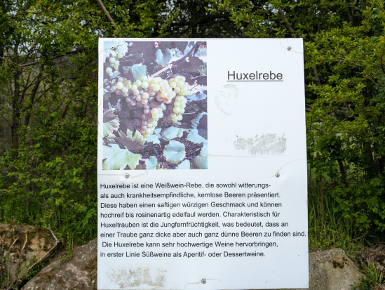Hohe Loog, Neustadt
16. April 2023